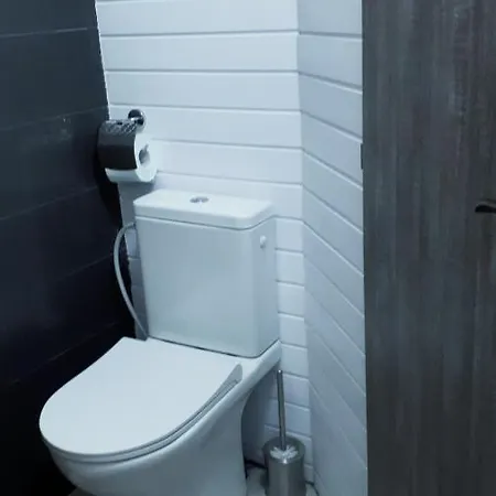 Leo Apartment's Center * Brasov
